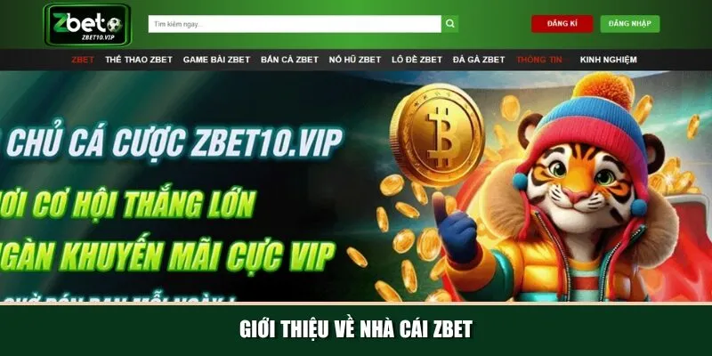 gioi thieu ve nha cai zbet Lịch sử hình thành và phát triển vượt bậc của nhà cái Zbet