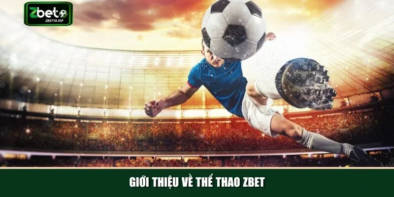 gioi thieu ve the thao zbet Giới thiệu tổng quan về cá cược thể thao Zbet