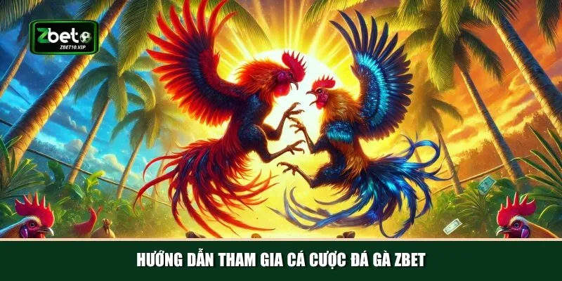 huong dan tham gia ca cuoc da ga zbet Quy trình tham gia đá gà Zbet vô cùng nhanh chóng