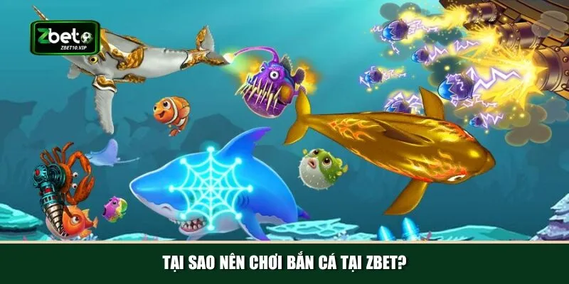 tai sao nen choi ban ca tai zbet Bắn cá Zbet được thiết kế chân thực và đang dạng chế độ chơi