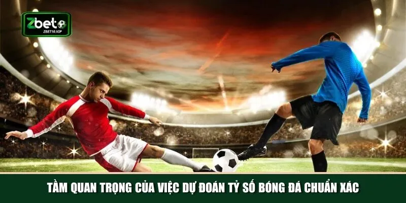 tam quan trong cua viec du doan ty so bong da chuan Dự đoán tỷ số bóng đá chuẩn xác ảnh hưởng đến kết quả cá cược
